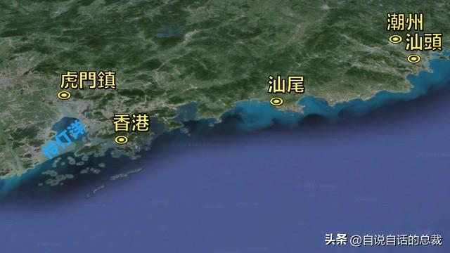 南澳鱼胶 2026年南澳鱼胶批发市场地址