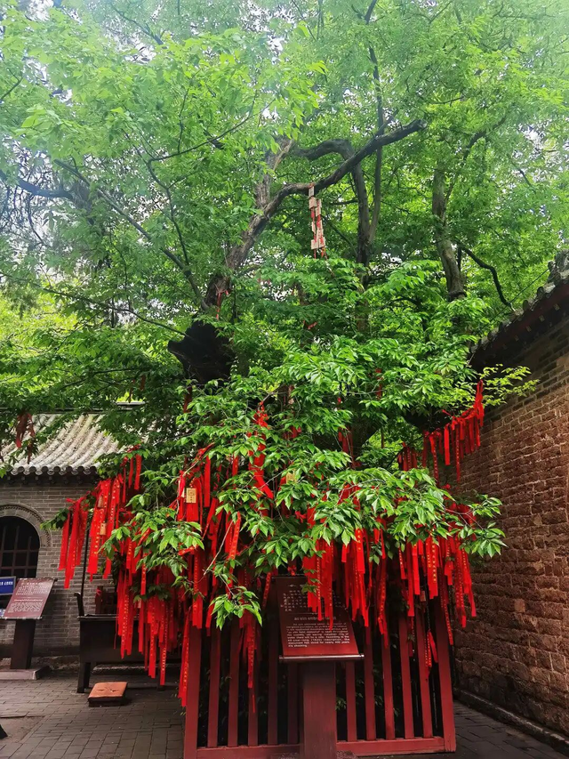 这个国庆来济宁，旅游景区宠客宝藏攻略来袭