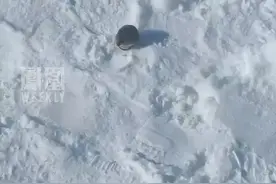 东北雪地上瑟瑟发抖的小老鼠 被南方人围观点评:“东北的老鼠就这么小吗”图片