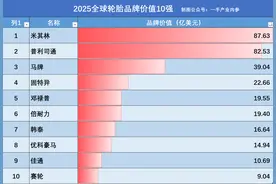 最新！2025全球轮胎品牌10强：米其林第1，马牌第3，中国入围1个图片