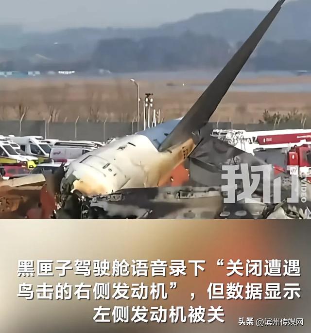 韩国“179死空难”75秒黑匣子录音公布：出现强烈鸟撞击声后机长叹息，副驾驶高喊“抬头”；若无围墙可生还