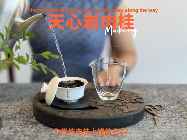 什么水泡茶好喝？自来水、纯净水、山泉水，一次性说清楚