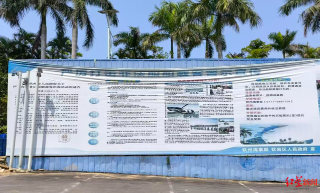 广西钦州三娘湾 “出海观豚” 乱象：为看 “吉祥好运” 粉色海豚，十余艘船围堵；小海豚遭追后死亡，有船长称看不到退票，怕亏钱不停追