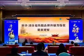 太原市清徐县：“山西老陈醋”品牌热度持续图片