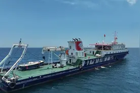 京东采销这次深海“捞大鱼”“捞”到了什么图片