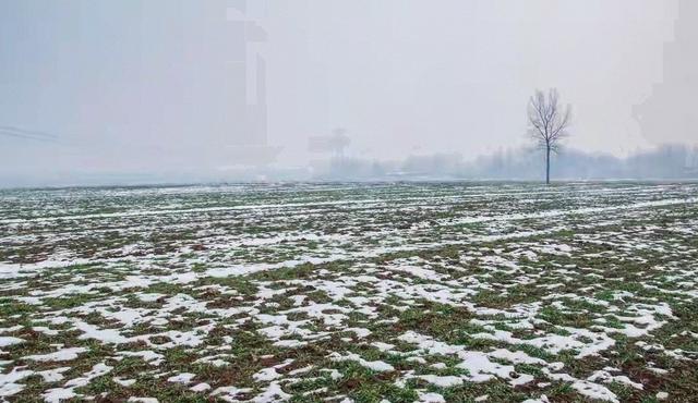 “ 不怕立冬晴一天	，就怕立冬一天雨”，今日立冬，雨天有何征兆？