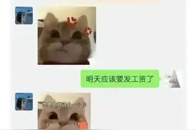 胖猫自杀后续：姐姐最新回应决不和解，谭竹闺蜜团曝光，黑料被扒图片