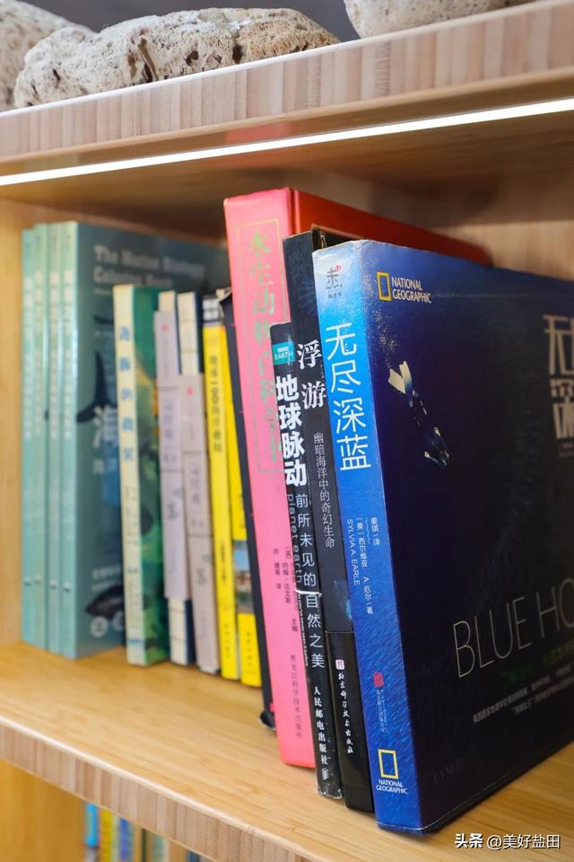 盐田，你也太会了！一天带娃穿越海洋、魔法和未来！