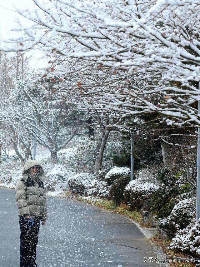 雪后西海岸，美成童话！