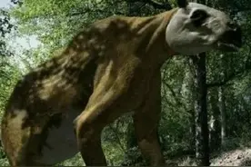 我国5种神秘的未知物种，第3种极可能是史前生物图片