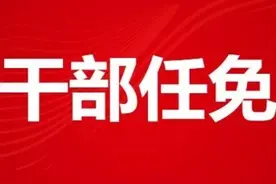 西安市发布干部任免信息图片