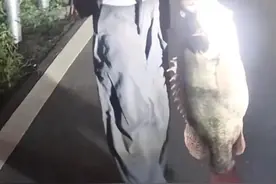 逢人就喊22斤！浙江女孩钓到超级大鳜鱼便满街炫耀，这得多自豪！图片