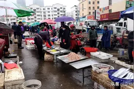最贵160一斤，开春青岛人闭眼吃的5种海货，丑八怪鱼没人敢下手图片