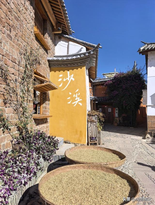 48岁，我终于把“风花雪月”从课本里搬到了洱海边