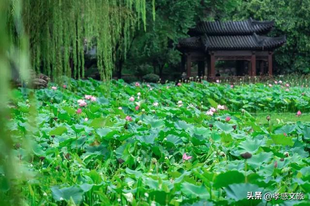 超级文旅日 | 惊喜加倍！17一起来游孝感