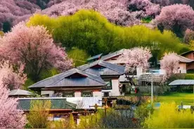 我国这6个省份，60岁以上景区门票全免！先收藏起来！图片