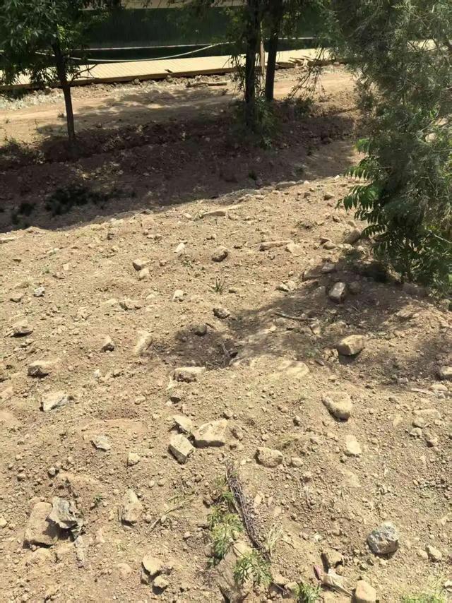 邺城苍苍白露微，世事翻覆黄云飞：邺城访古