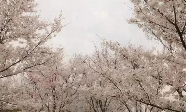 接下来6天，这位江阴人“承包”了……