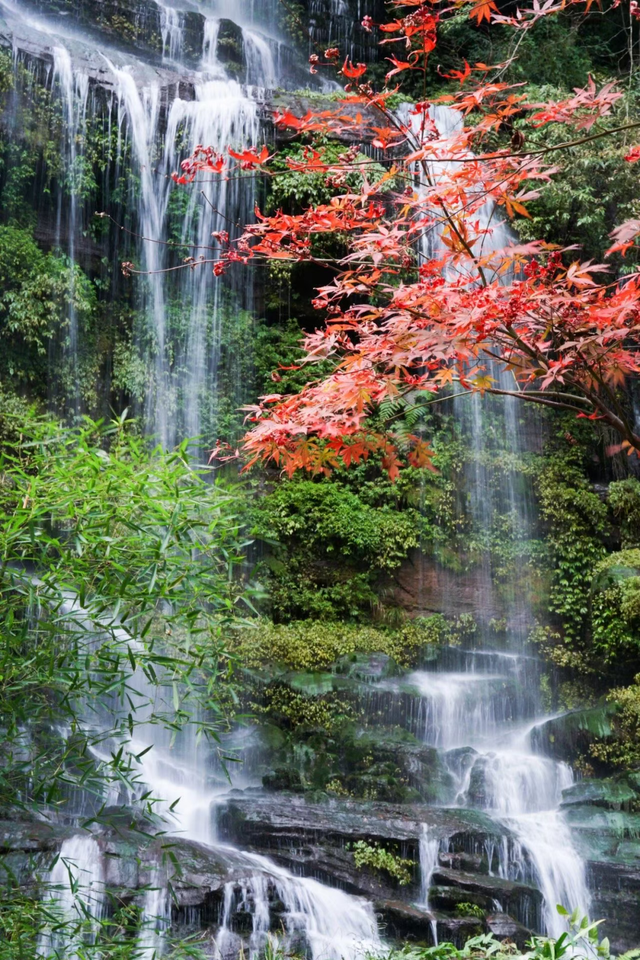 秋崃 | 深秋微凉，正好躲进邛崃山里泡个汤！