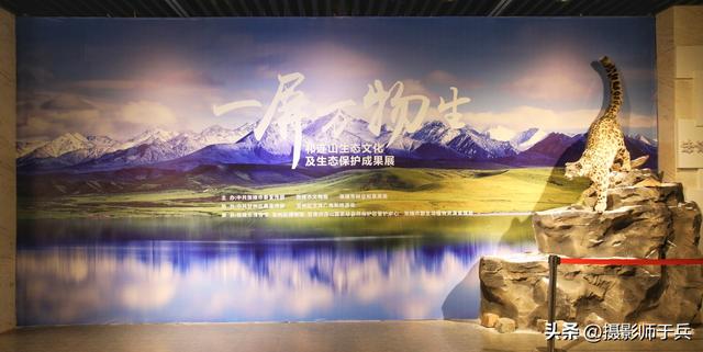 9月9日河西走廊之旅第二站:张掖 张掖市博物馆