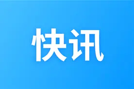巴军方称又击落一架印度战机，印飞行员被俘图片