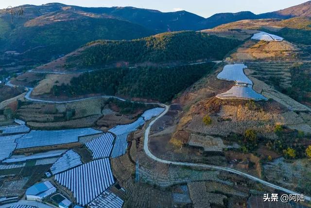 如果你正在大理摆烂,这条被果园包围的乡村小道很值得去跑一跑