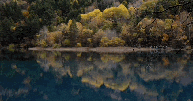 刚从旅游团逃出来，真想骂人