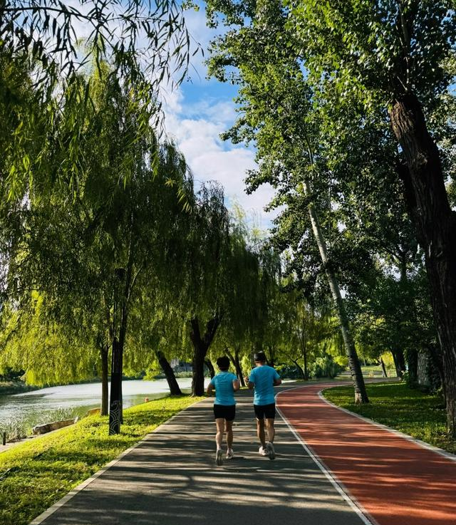 其实跑步的真正好处不止是身心的健康，而是让自己养成自律的生活