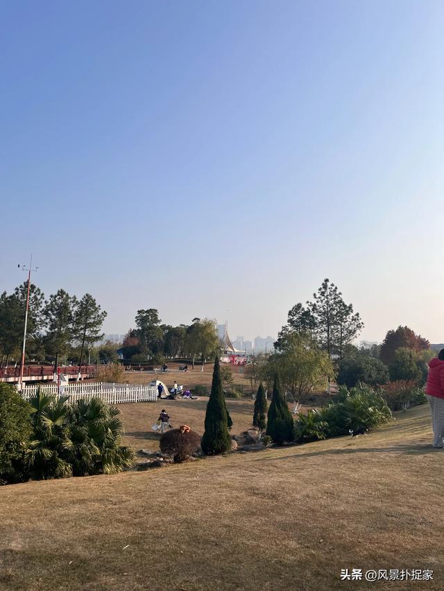 南昌凤凰洲湿地公园，美的不像话！