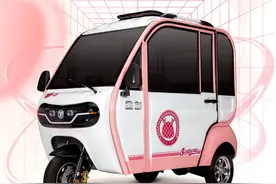 2款带篷电动三轮，在目录能上牌，价格1万左右，2023年迭代新产品图片