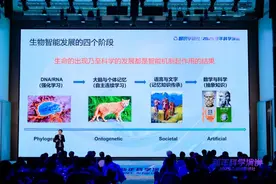 港大马毅：“百模大战”资源消耗惊人，智能本质到底是什么？图片