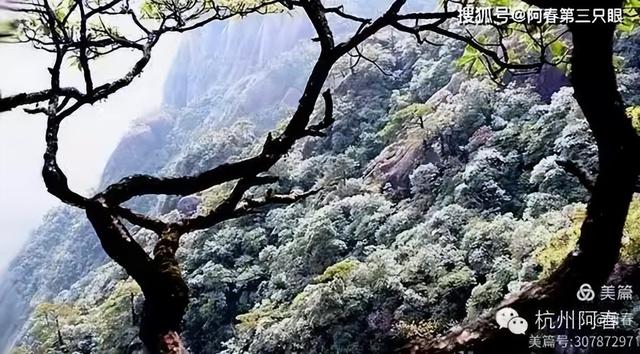 奇峻秀美 三清山