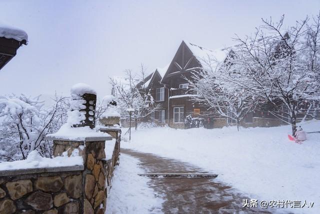 “立冬不过午，三九雪堵门”，明日立冬，今年冬天雪大吗？早了解