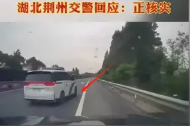 事态升级！高速拦停私家车，警方警务督察介入！扒开细节看始末图片