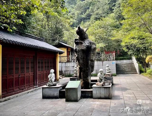 浙南这处有“江南小九寨”之称的4A级景区值得一去！