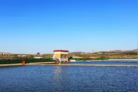 【晋城】在初冬感受丹河湿地的温柔图片