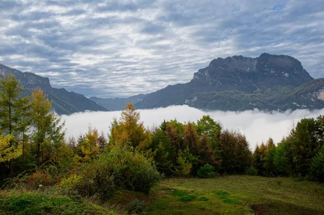 守护生态秘境——走进徽县三滩森林公园