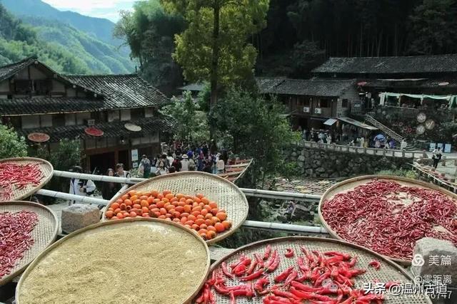 醉美林坑晒秋！这条连接两个避世古村落的省一级古道，周末可走起