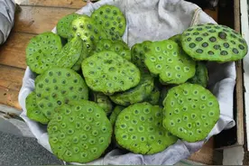 正新鲜上市！12-25/斤，不少襄阳人喜欢吃！图片