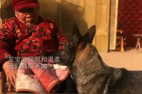 一条狗凭实力把86岁老奶奶宠上天，网友：它是条有孝心的狗图片