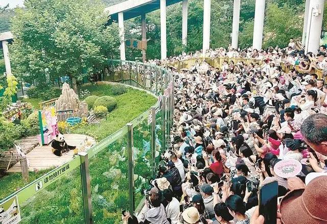 解锁大连“全龄友好型动物园”的隐藏玩法