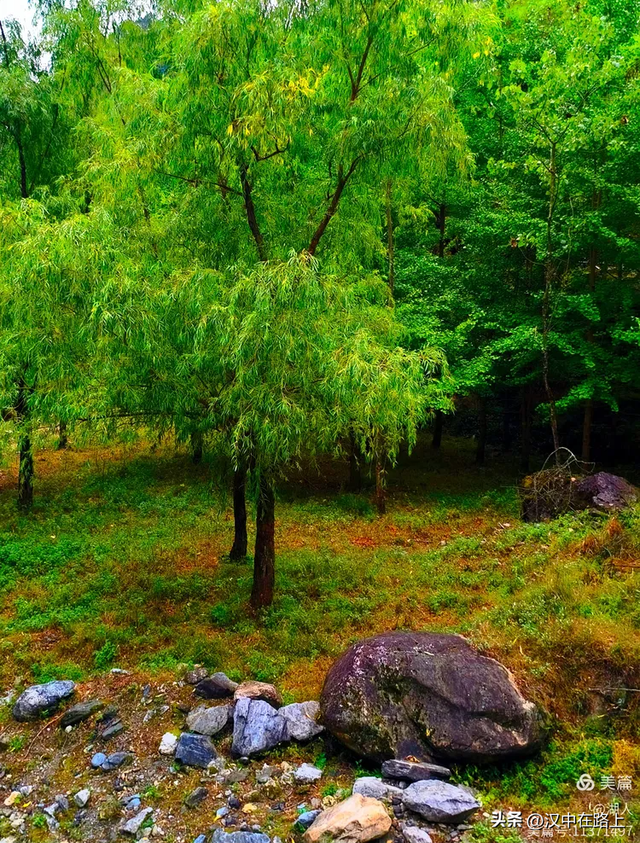 当光影遇上森林，汉中的夏夜如此动人清凉！