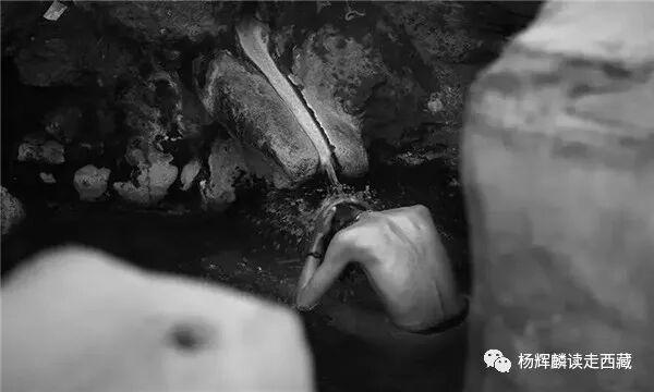 山南•曲松，这几个地方必须去，可以一睹藏獒风采