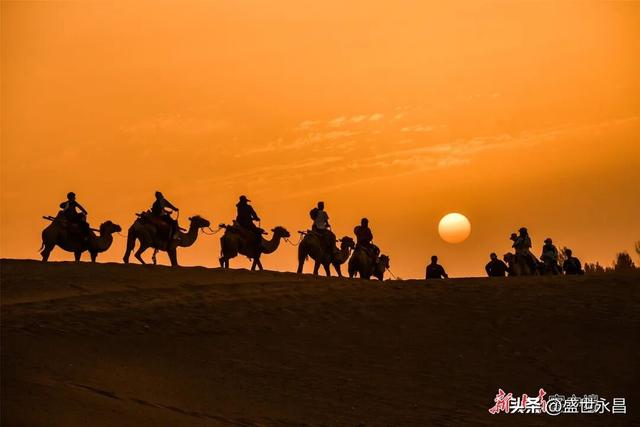 重走丝绸之路，这支“东天山来的骆驼队”到哪了？