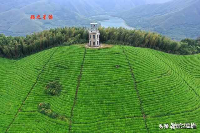 南山观景台，藏于深闺人未知，登高揽胜快意之事