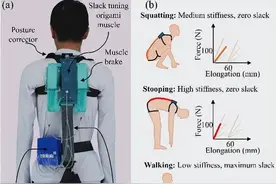 1.2kg超轻外骨骼腰带问世！弯腰搬货不怕闪腰，还能续航一整天！图片