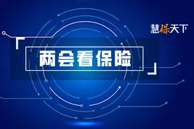 保险业2025“两会”全总结：谏言《保险法》修订，疑行业定位不清图片