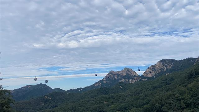 秋雨润泰山 云海漫山峦