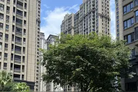 换了5套房才明白，这5个楼层才是真正的“黄金楼层”，越住越舒服图片