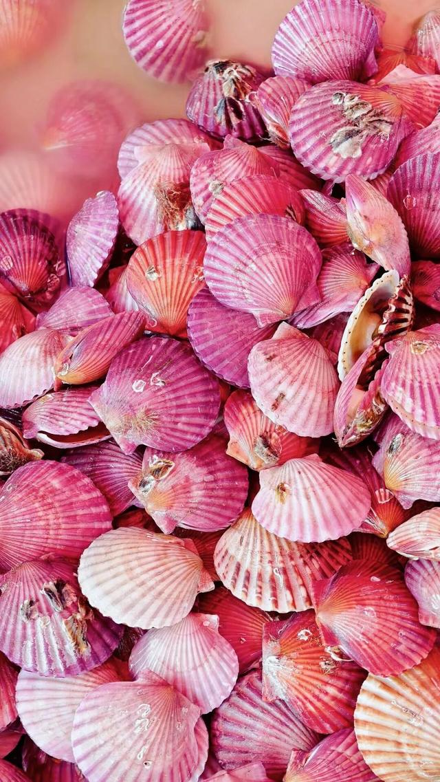 6城上榜！2025康养百强榜出炉，山东凭什么这么能打？